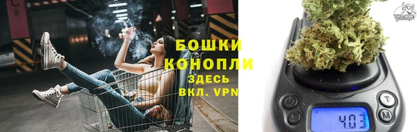 Альфа ПВП Пересвет